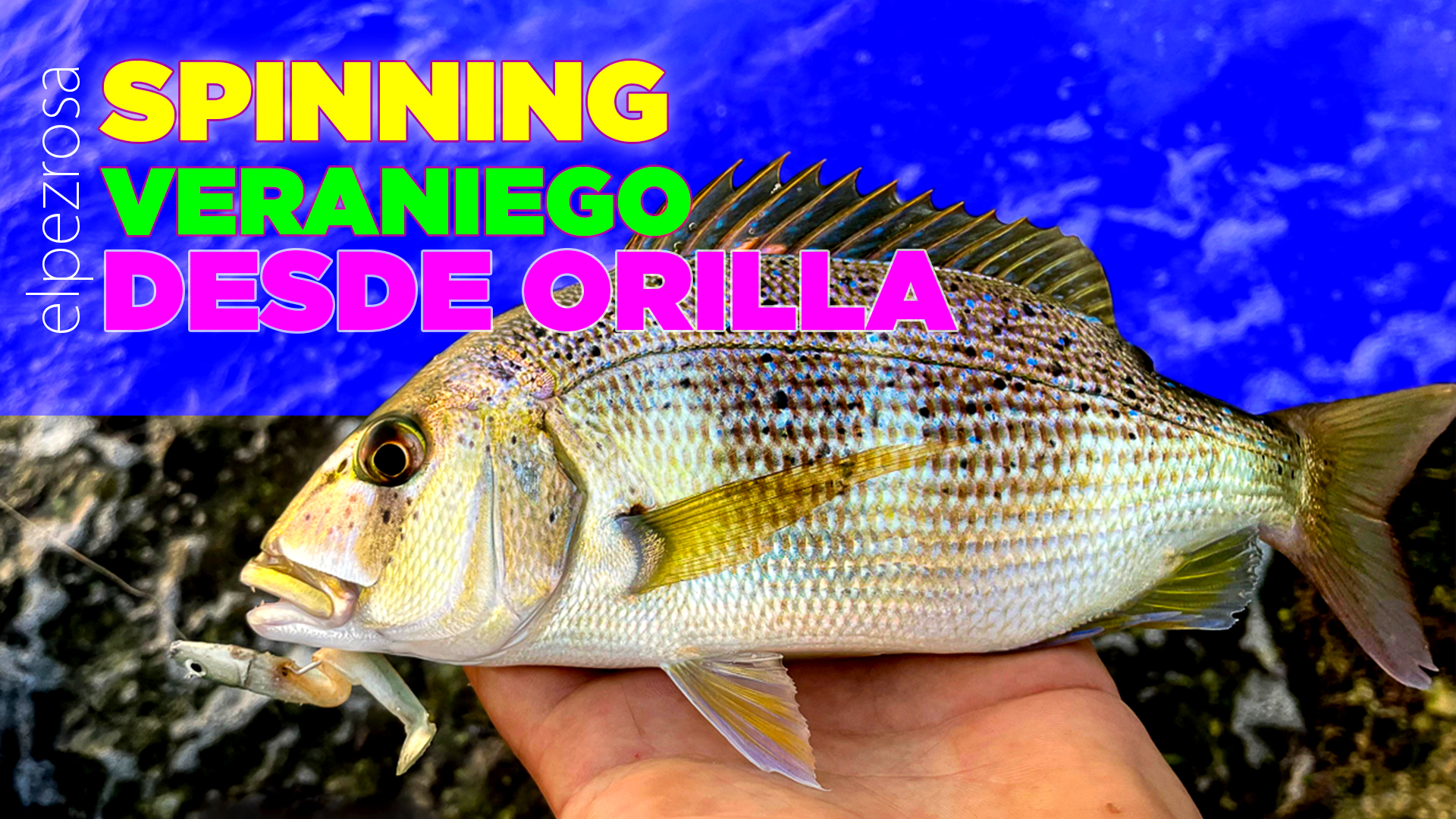 Cómo pescar a spinning ligero desde orilla estas vacaciones